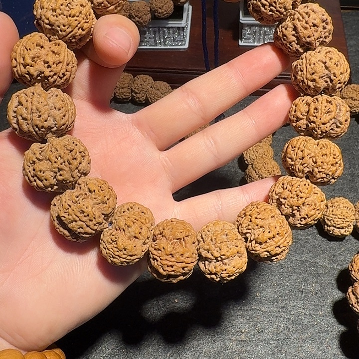 啊***昊金刚菩提吊坠在课后辅导