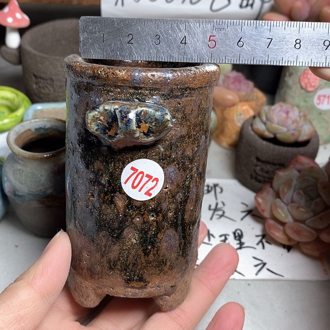 红陶拍5送一个小
