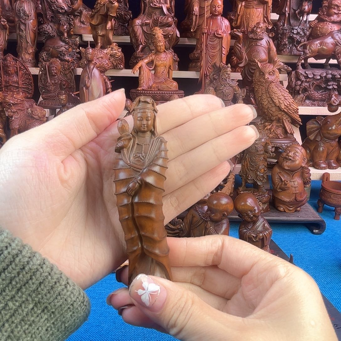 黄杨木小叶黄杨木