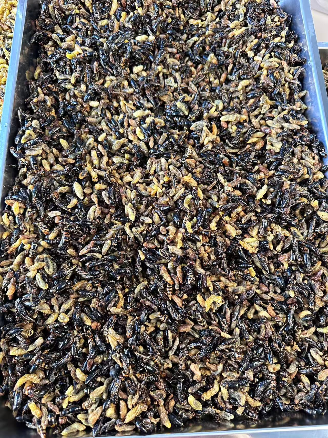 【福利品】蜂蛹3~4级小黄小黑下酒必备嘎嘣脆当天现炸还易保存