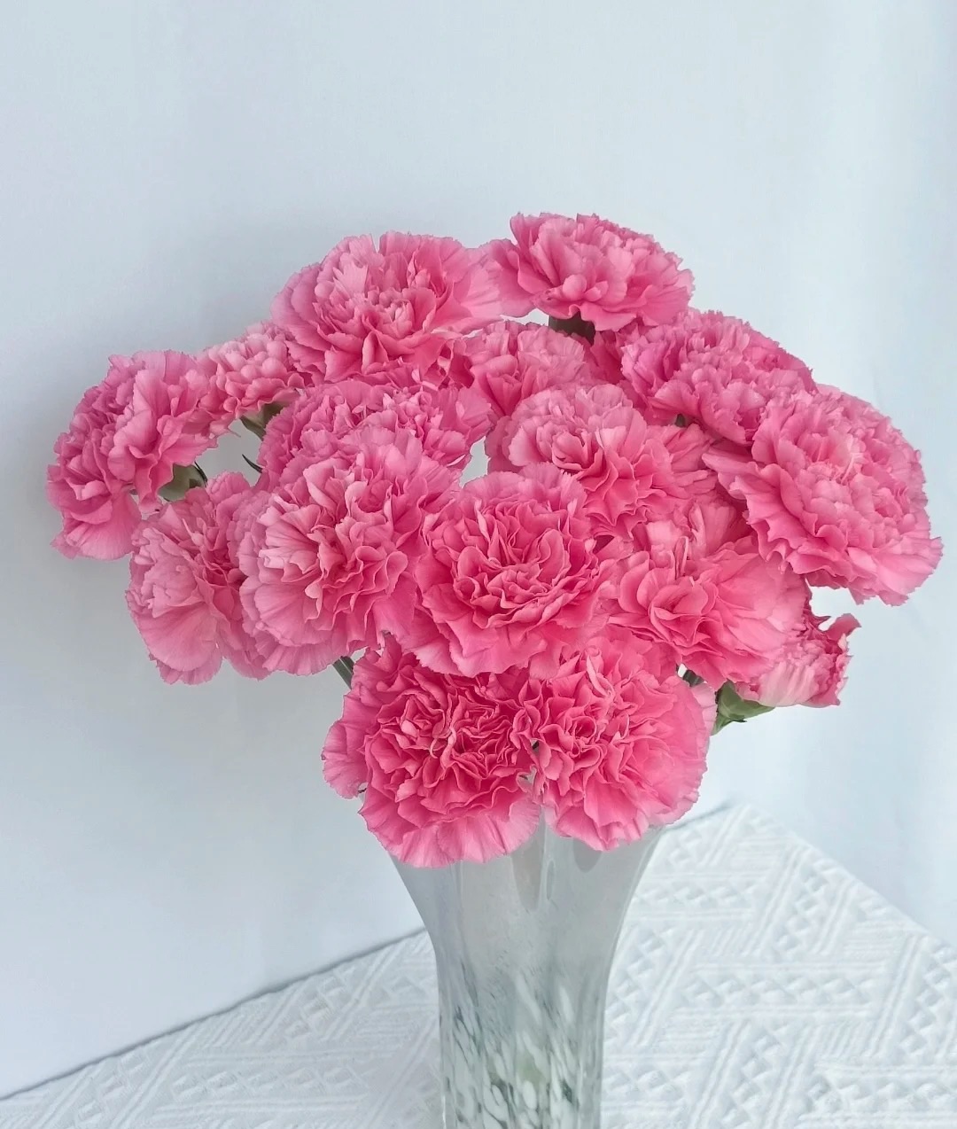 【一件包邮】 小桃红单头康乃馨20支 云南基地鲜花 家养 水养