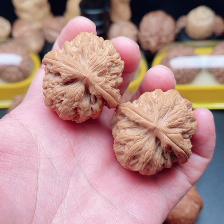 文玩核桃把件红锦鲤狮子头41×39×39