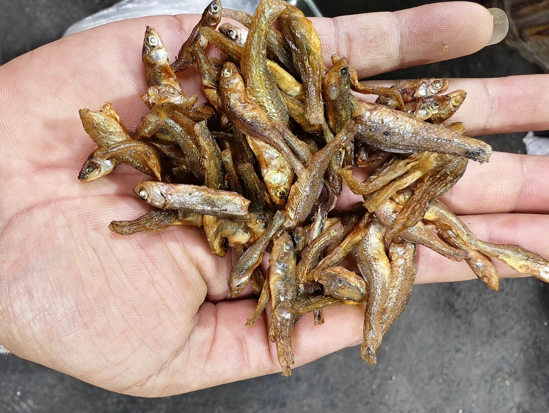 湖南特产淡水烟熏小鱼干货2