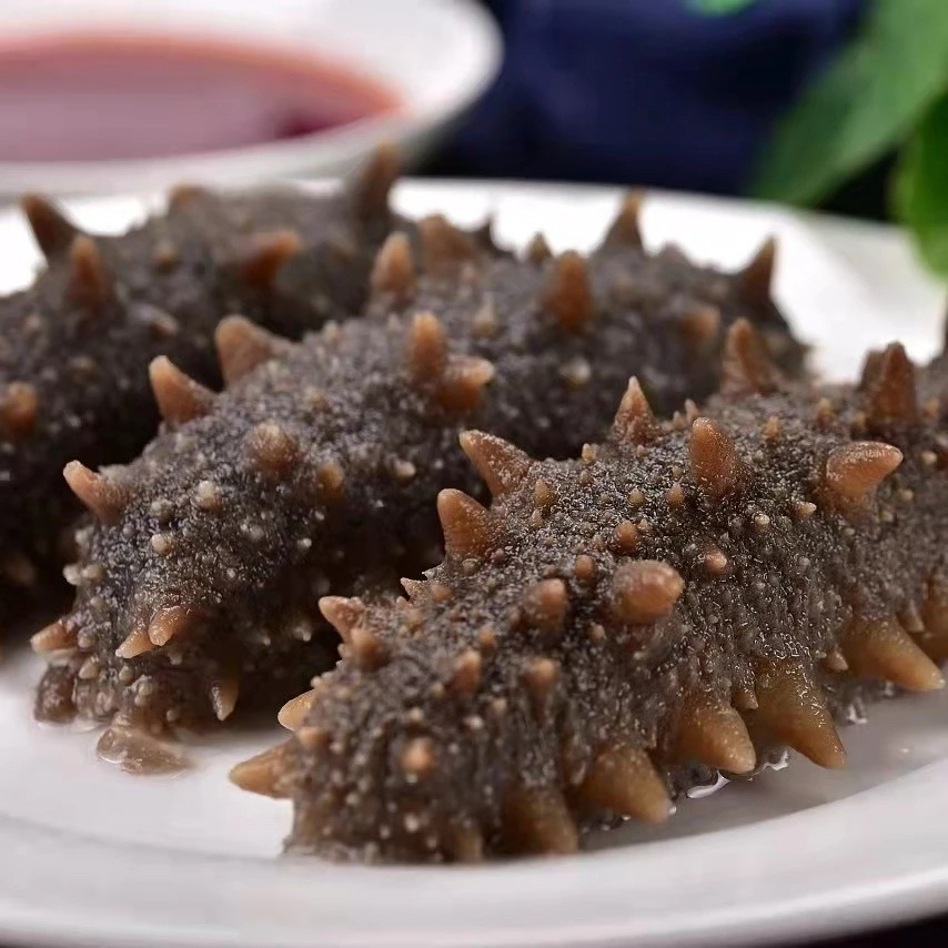 鲜食海参500g一斤装 海参独立真空包装4-6头/斤