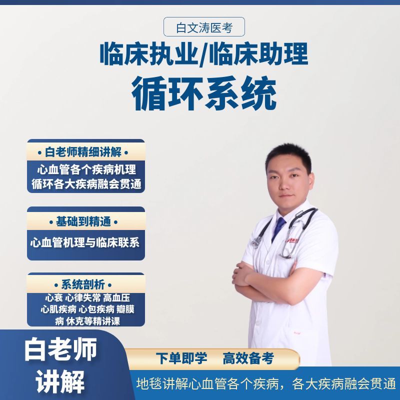 循环系统精讲白老师2026年循环精细讲解