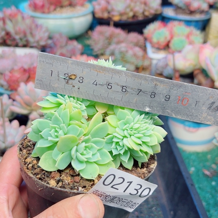 幸运的是我还没遇到过