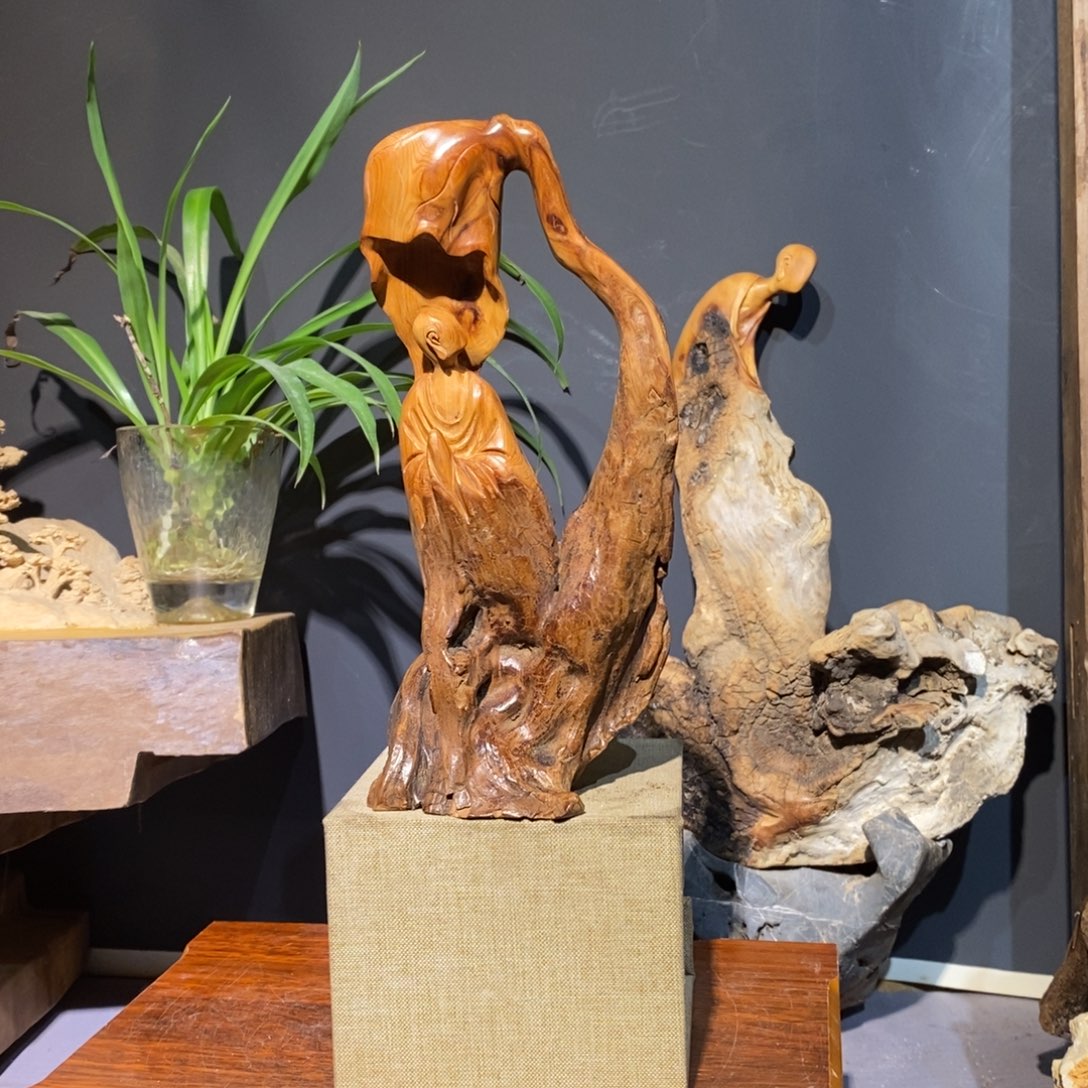 柏木太行1688589966