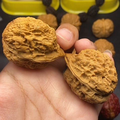 文玩核桃把件37尺龙甲王