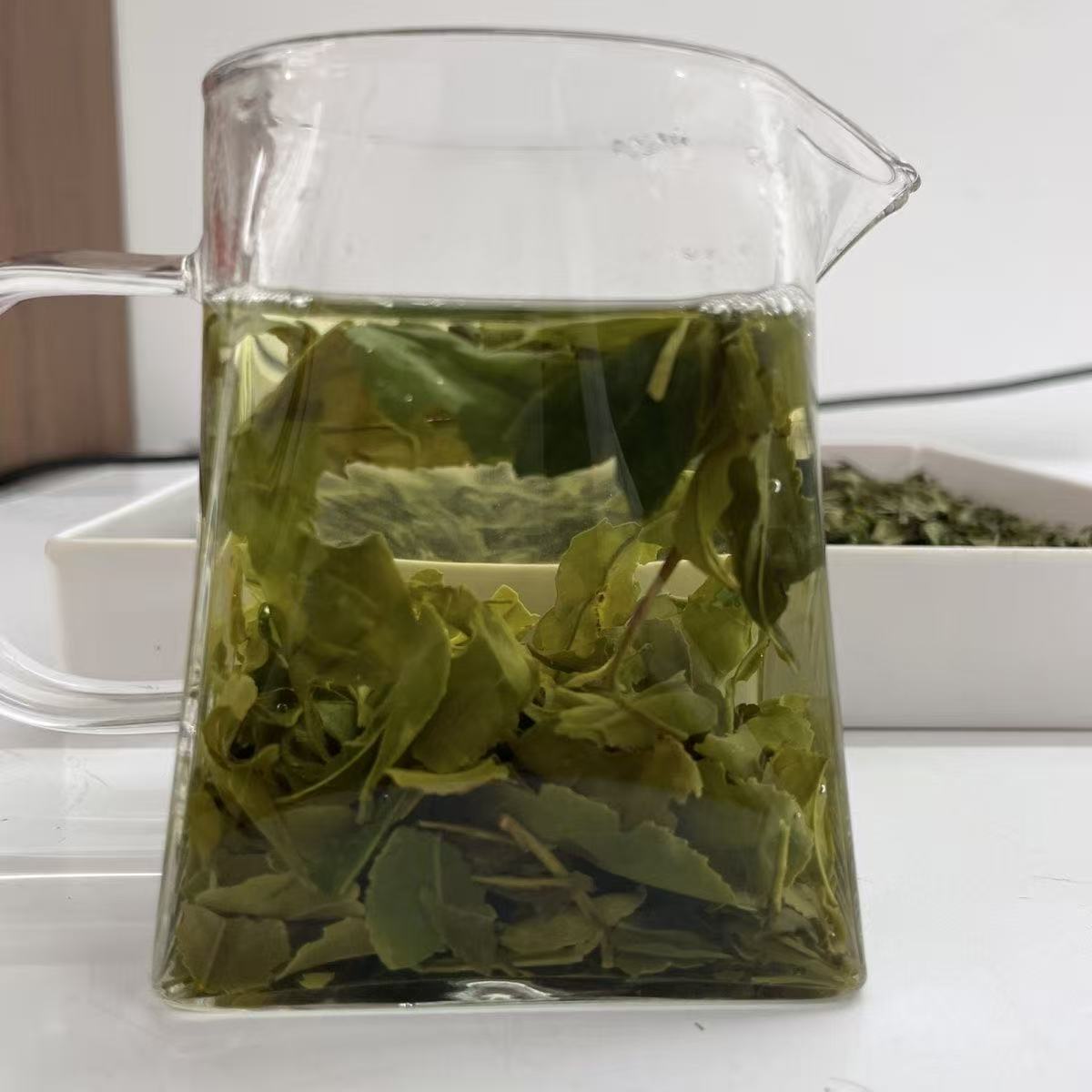 日照绿茶新茶早春大叶茶口感好板栗香味浓耐泡