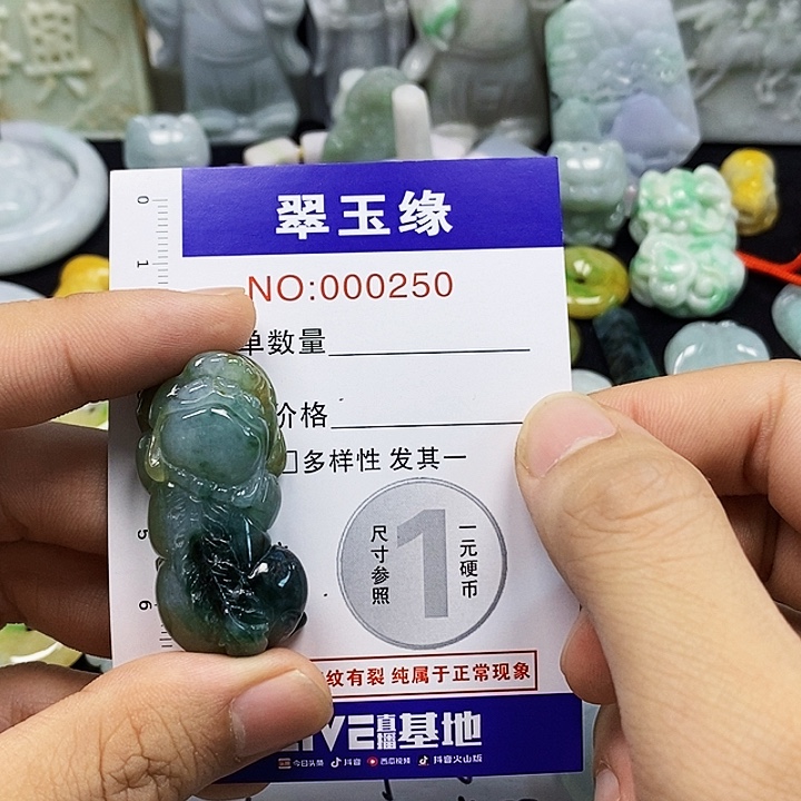 九***月翡翠未镶嵌颈饰翡翠