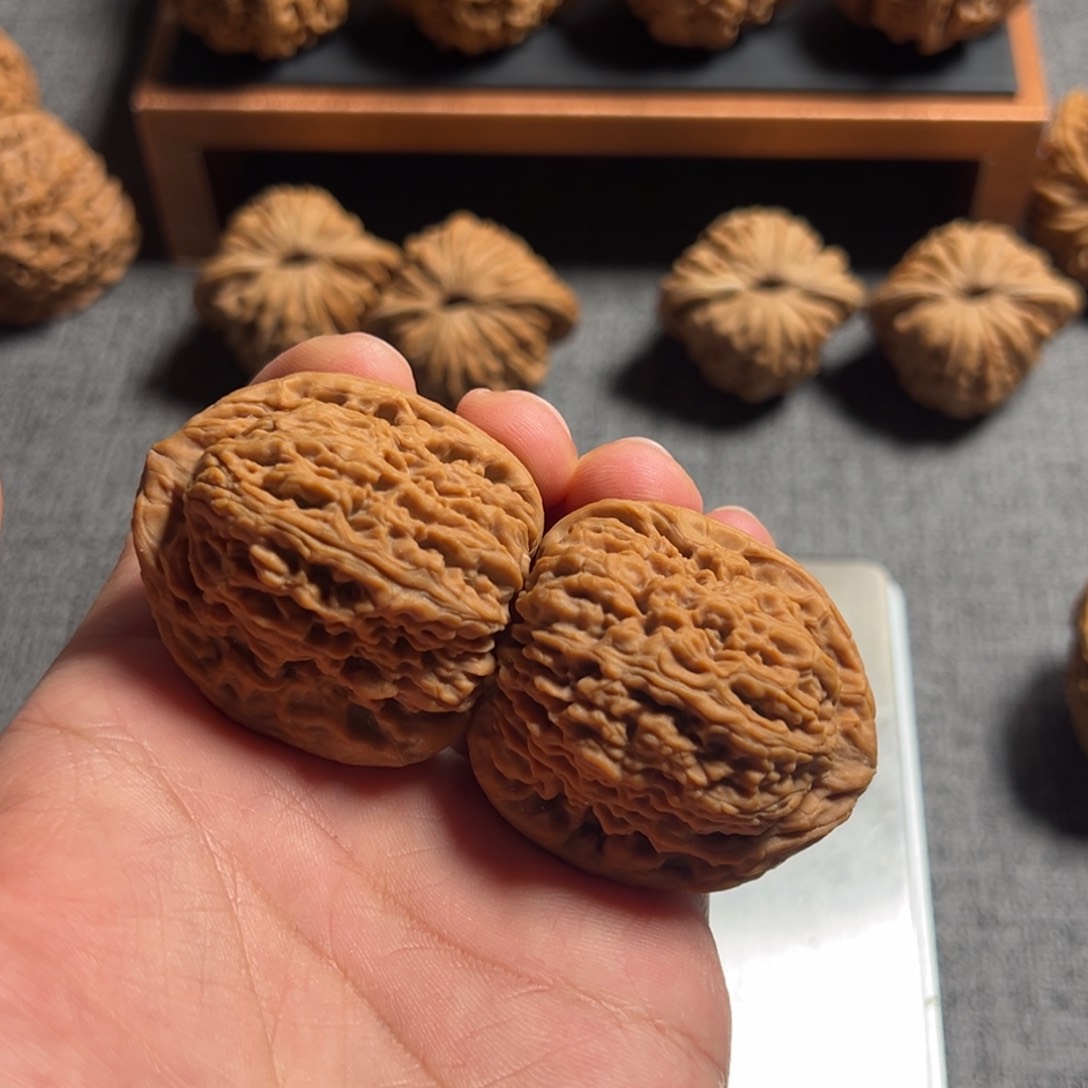 文玩核桃把件何*了40高炮