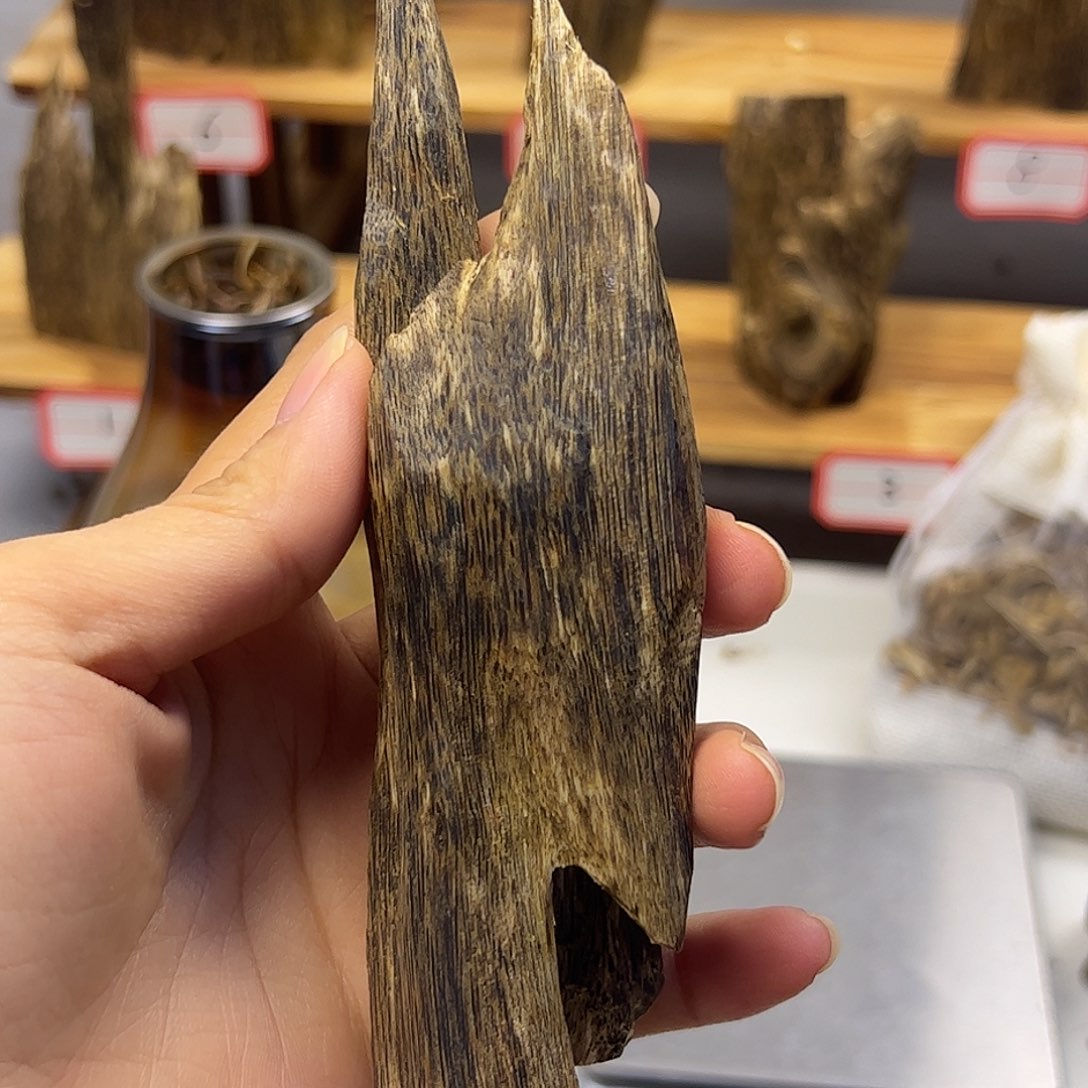 沉香碎屑沉香乌身 30.9克 小摆