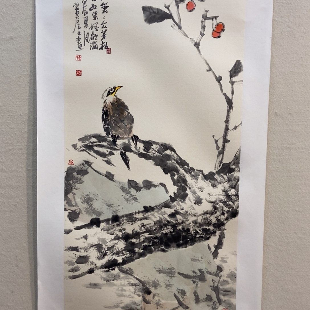 【闪购商品】国画正*量墨鱼精品墨鱼精品