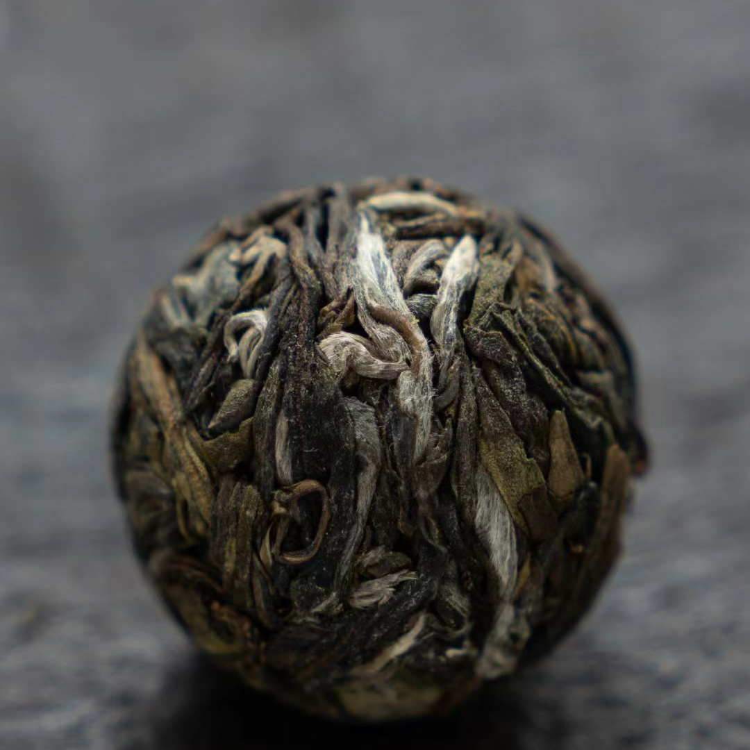 【直播】正气塘生普龙珠2024年