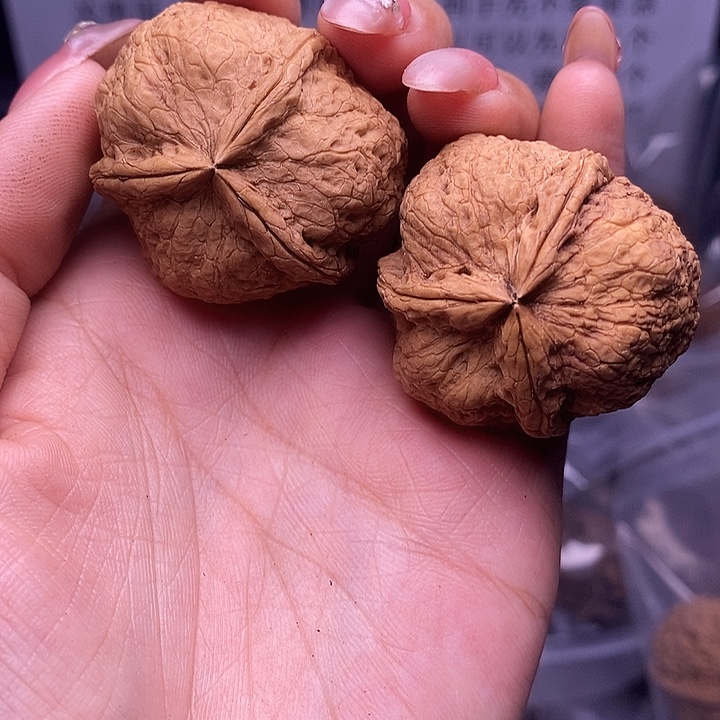 核桃云南野生铁核桃45号37mm