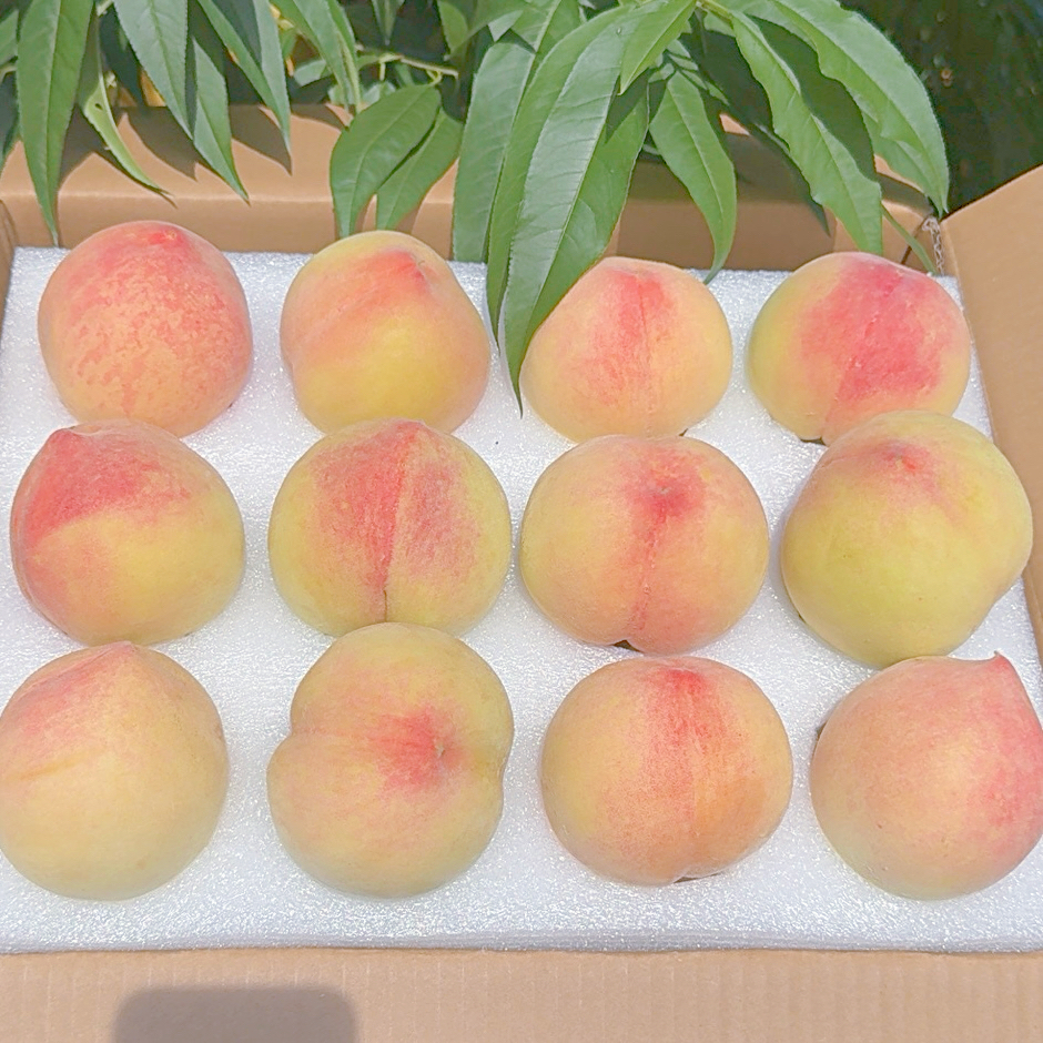 【10斤特大果王奉化水蜜桃】湖景玉露良方果王8个装果园采摘新鲜应季水果现摘现发宁波特产桃子浙江省