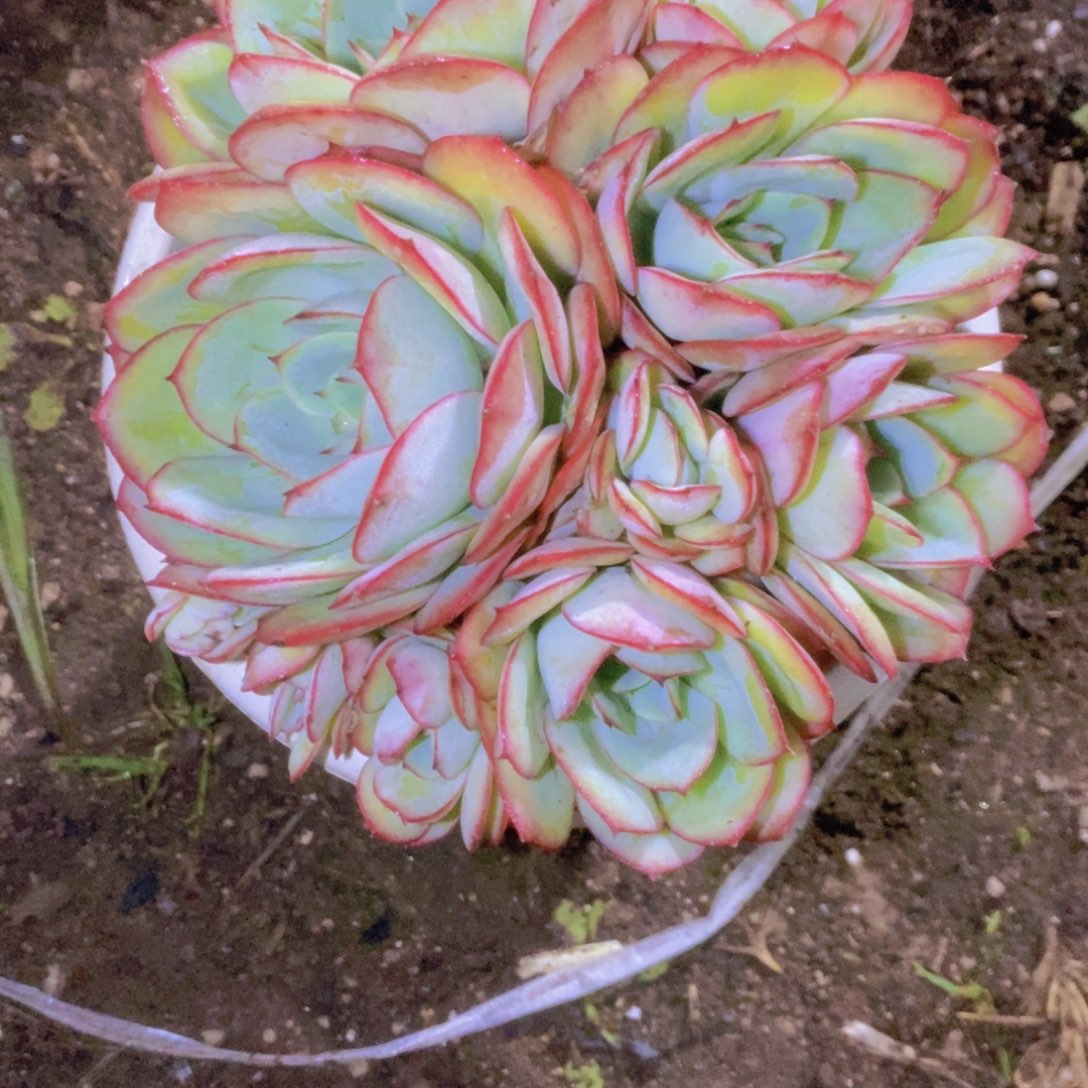 遂***部噢啥时来接你我就回家