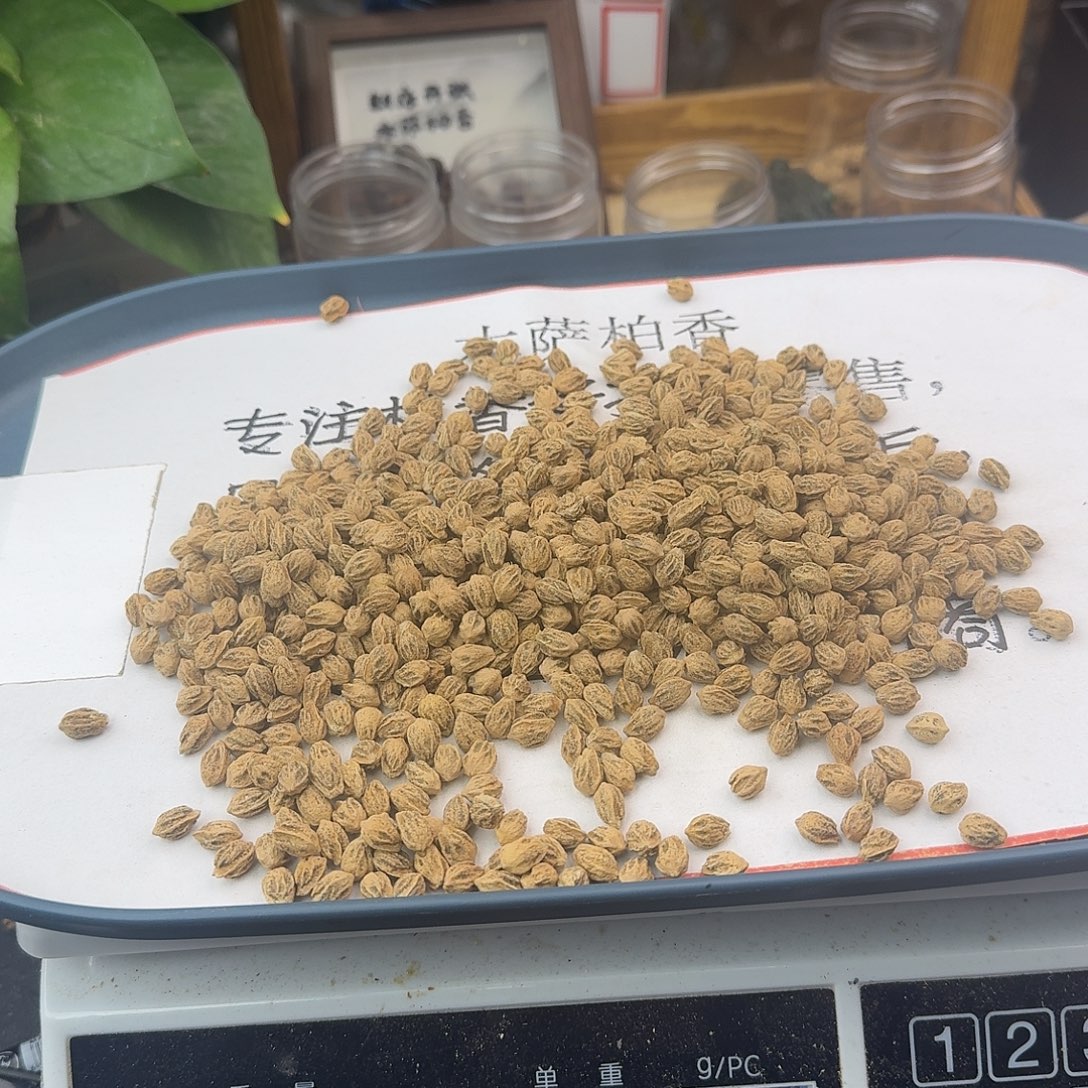 柏香籽/百香籽吊坠870号6.5+100克LA077