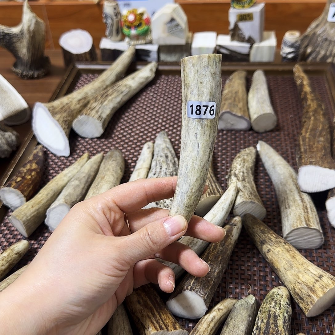 手串/手链鹿骨1876角尖