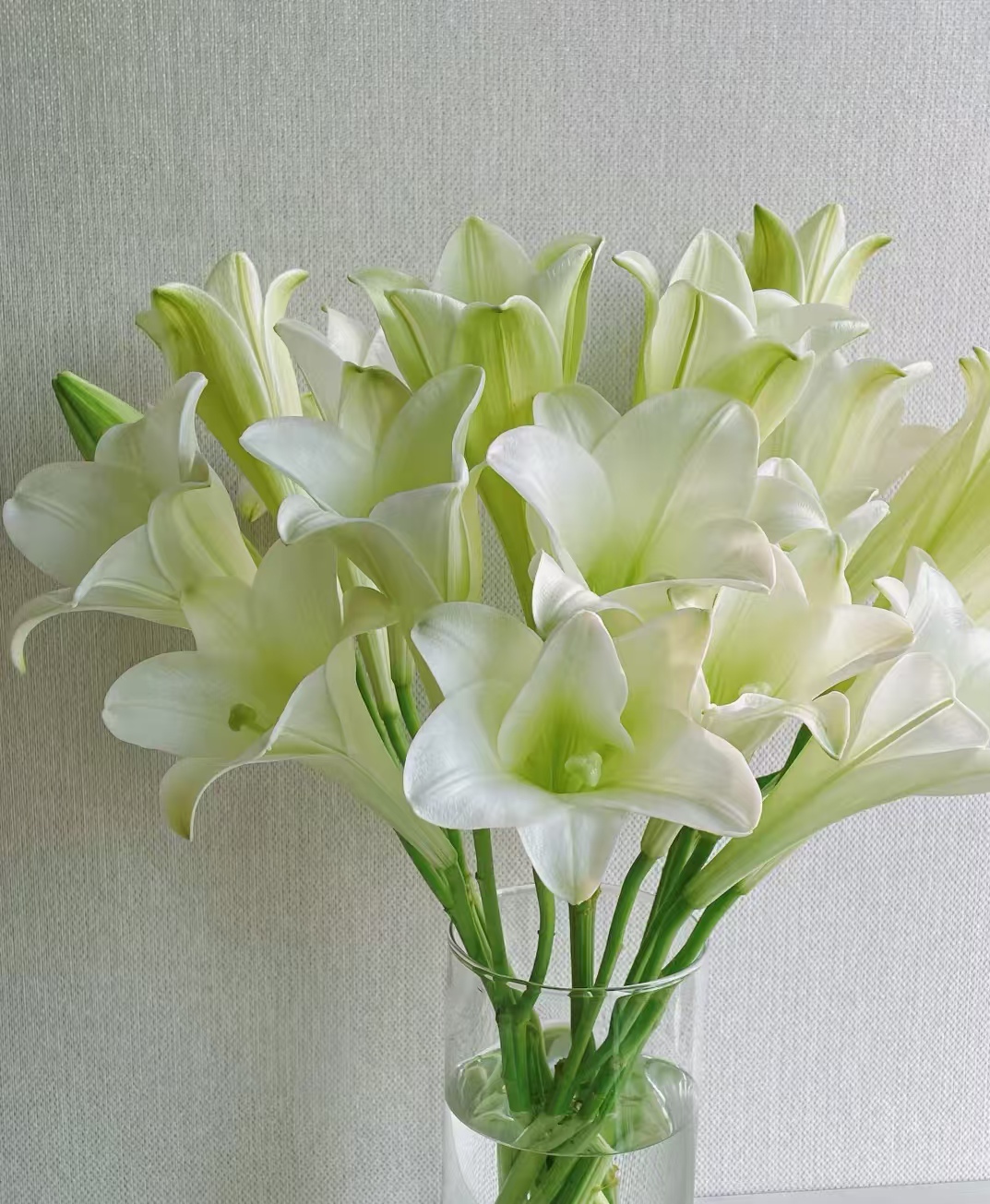 【鲜花日记】铁炮百合香水百合养护简单家居家居插花鲜花包邮