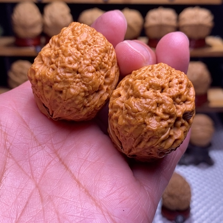 木质类云铁五毒蟾97号