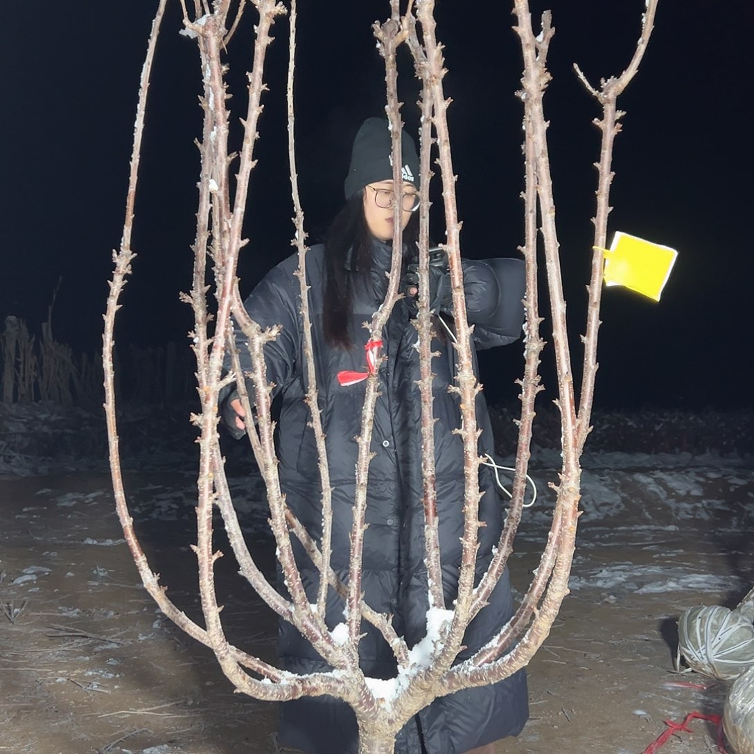 静***璧直播间专拍直播间专拍