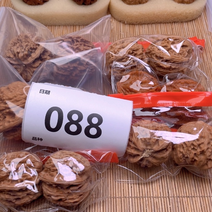 文玩核桃把件88号6对