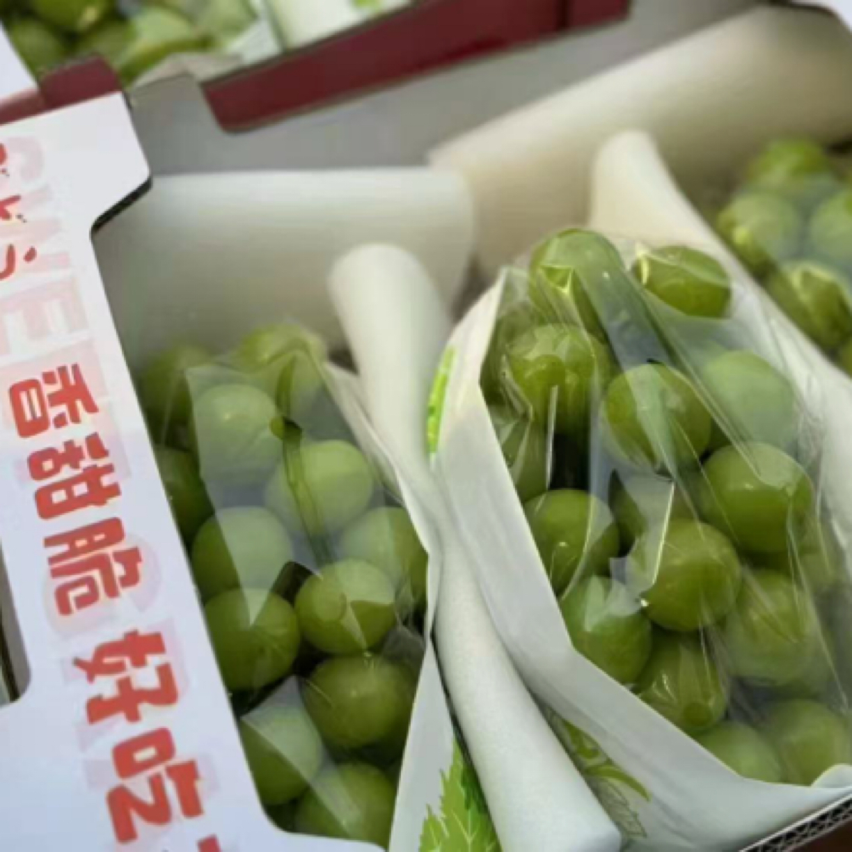 小甜口晴王礼盒一件3串四川省