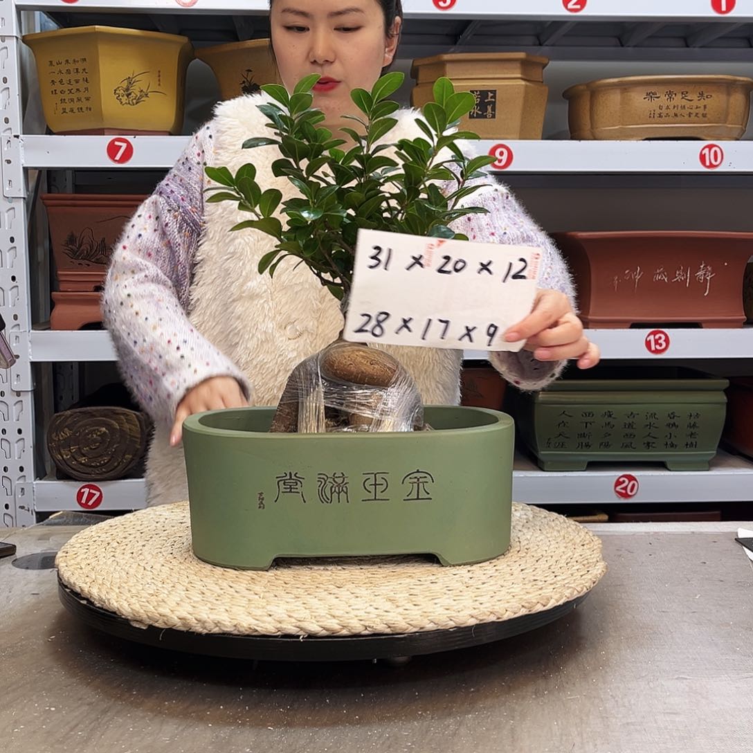 紫砂花盆紫砂花盆