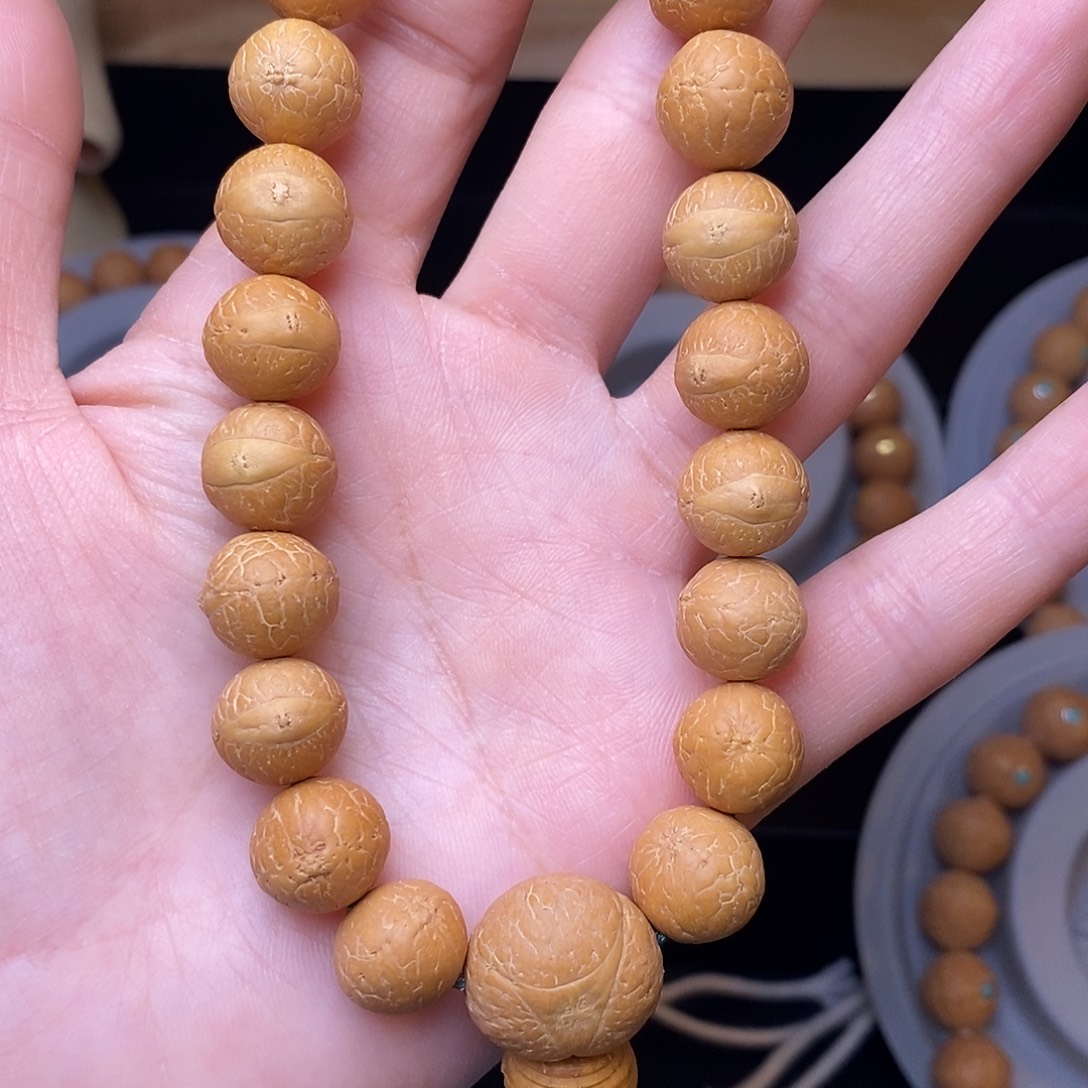 12➕菩提手串25新籽