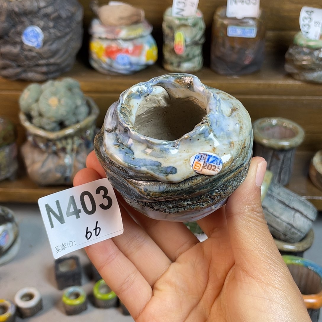 坛子姐花盆小白孤品 内口3.5百搭