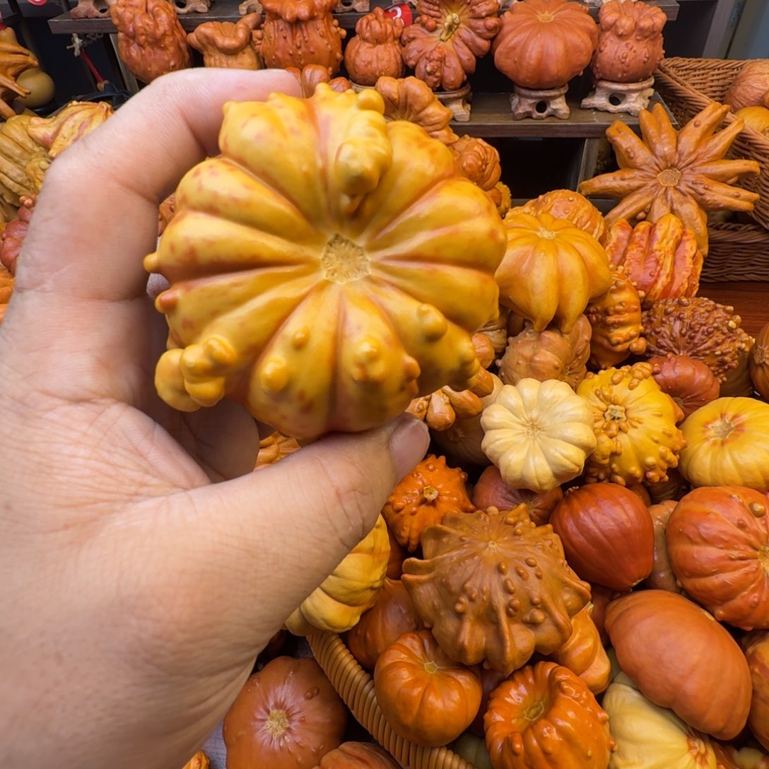 *****大叶紫檀（黑酸枝木类）