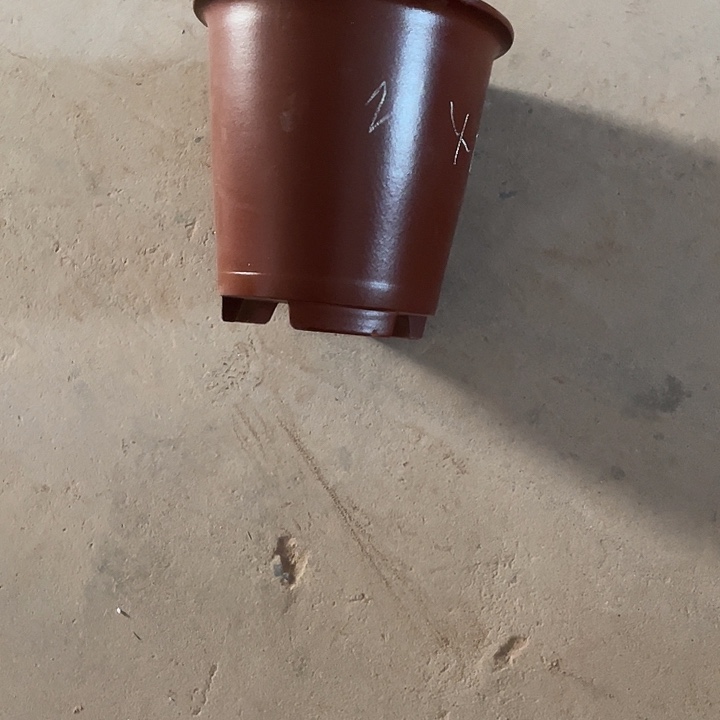 紫砂花盆我也不知道我在想29