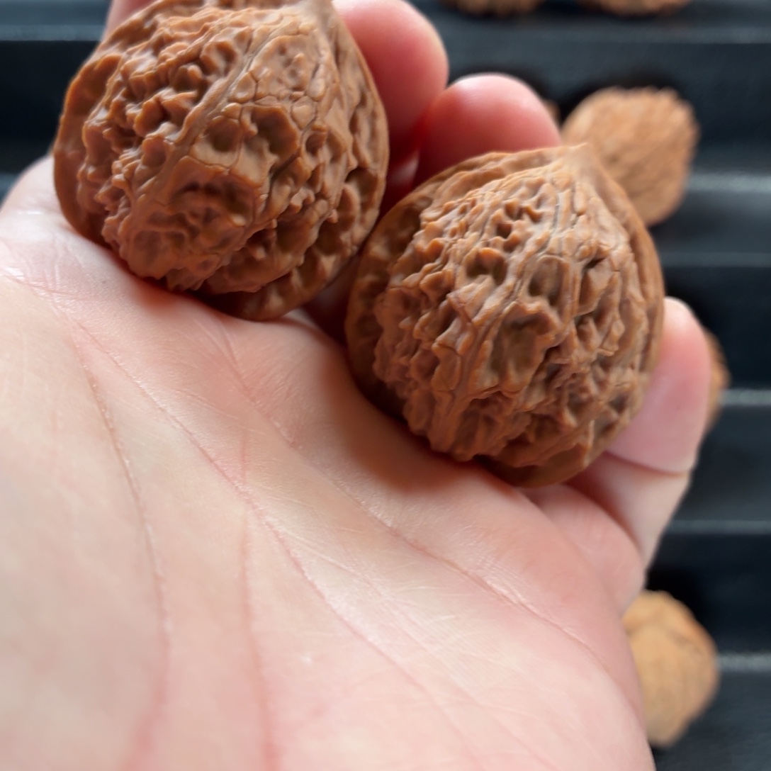 桃核把件野生原树蚂蚁纹37