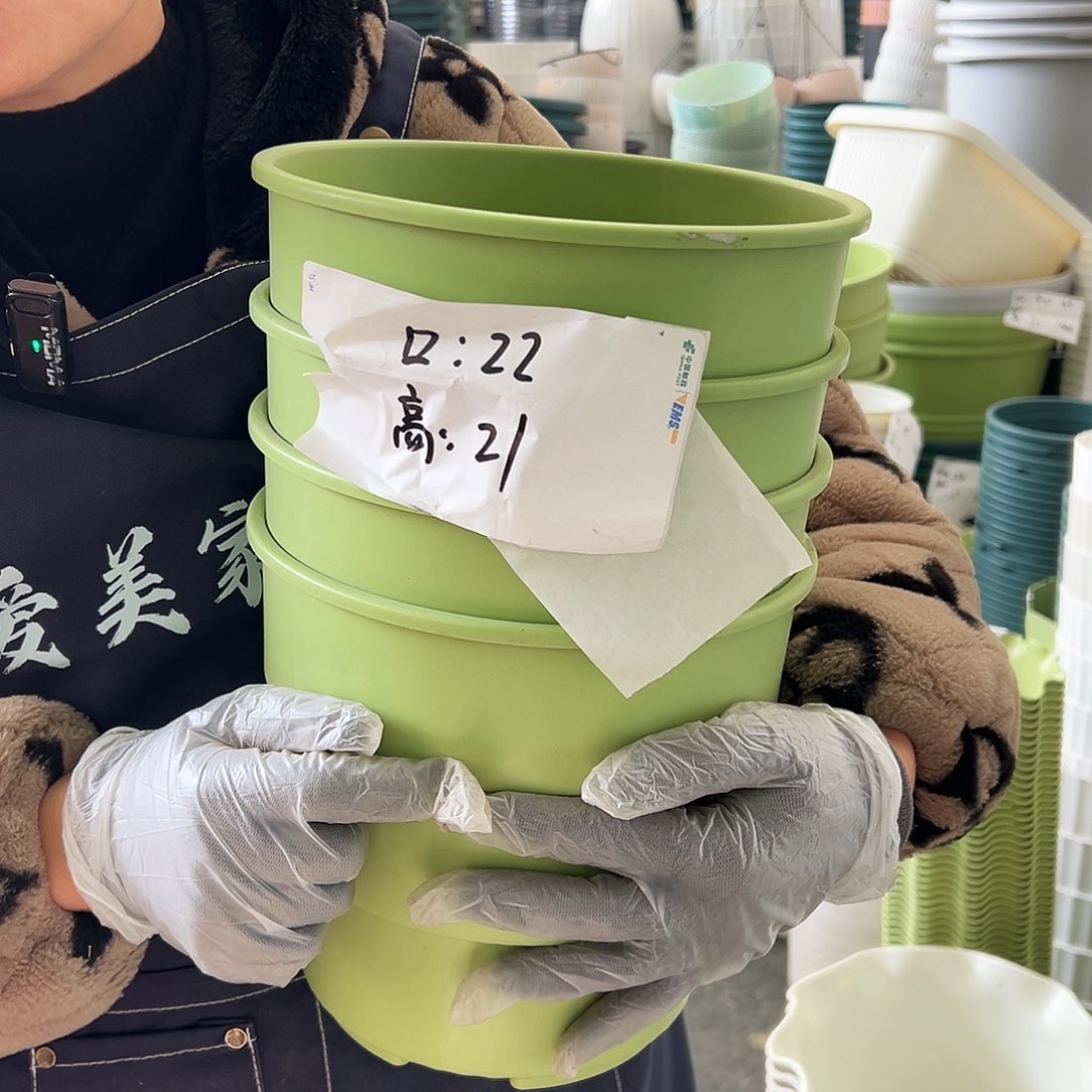 多孔3#果绿色5个无托