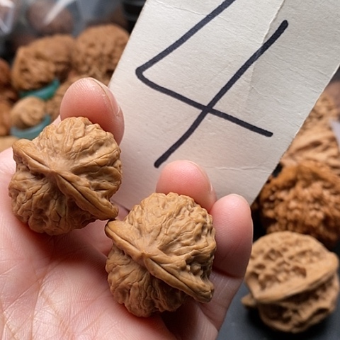 桃核吊坠30全品玉石