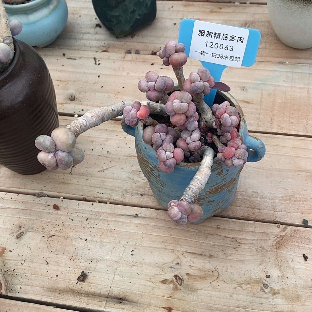 63楼去墓土我土蜗牛哦酷