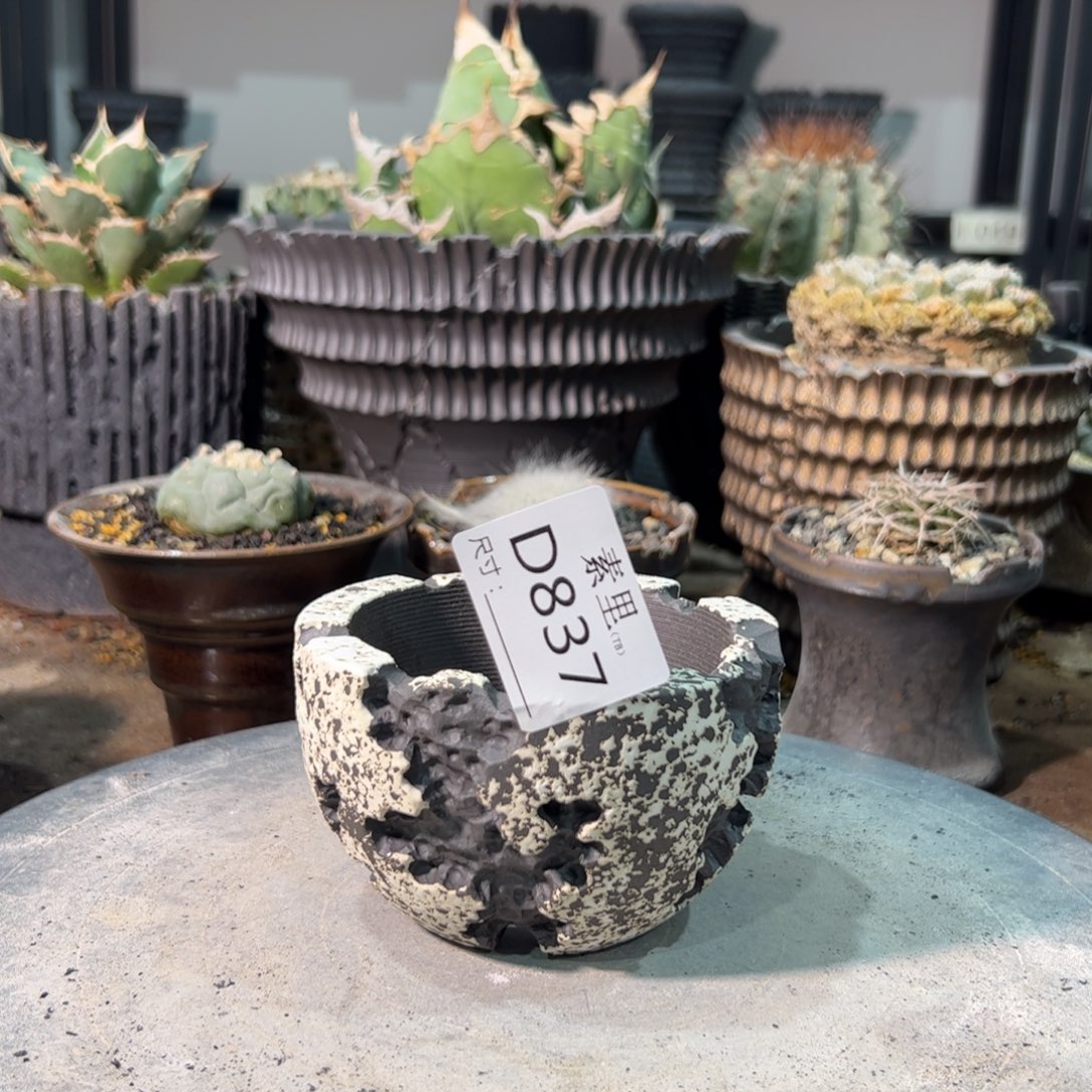 景德镇素里手工口8.5高7