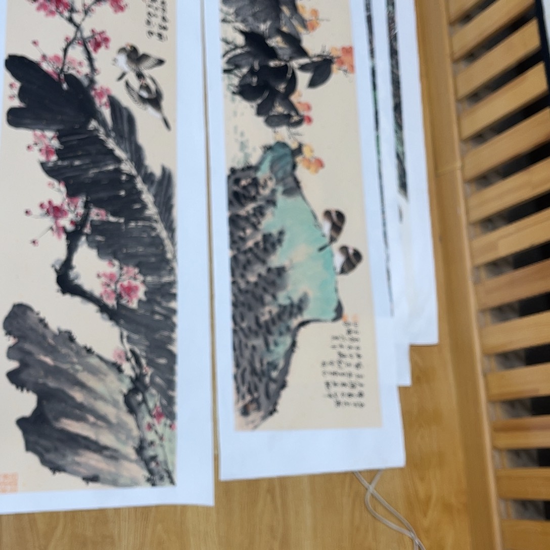王*姜奇老师花鸟作品