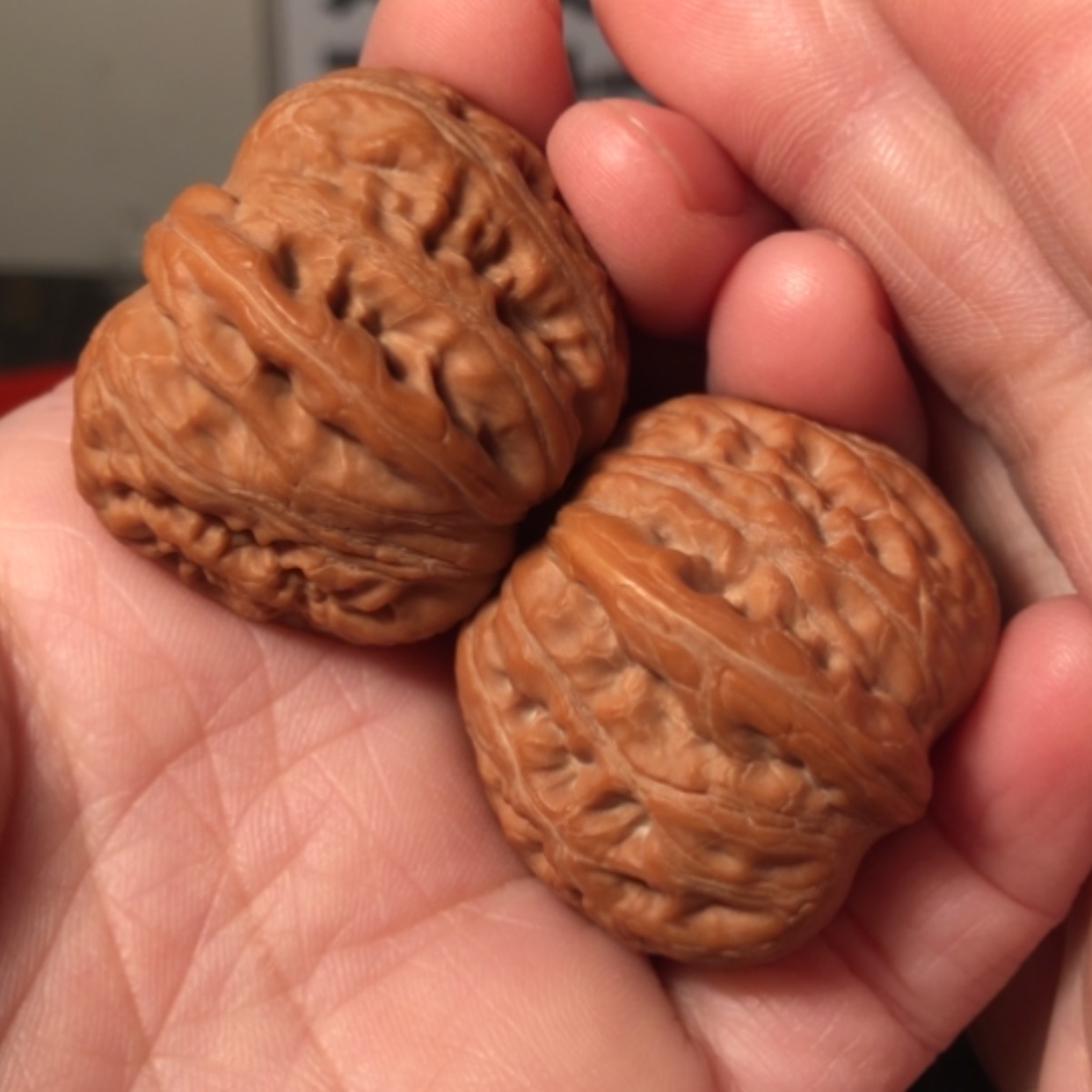 【闪购商品】文玩核桃把件元宝36.5