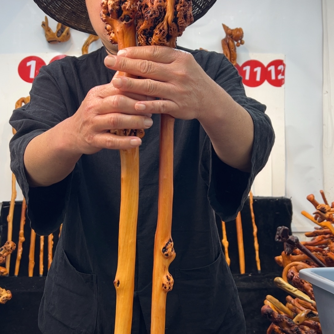 黑果木其他黑果木233