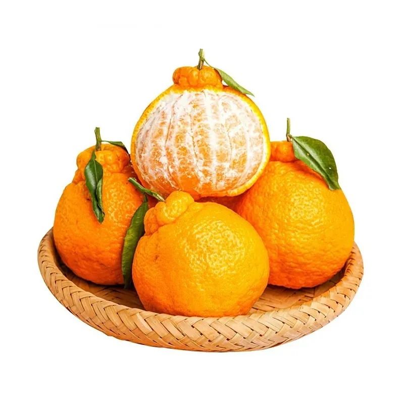 丑桔800g