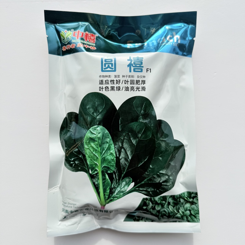 中禧圆禧黑禧杂交黑叶菠菜种子耐热耐寒厚肉越冬蔬菜籽