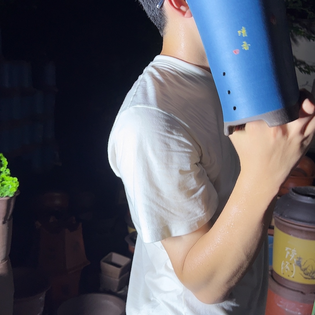 宜兴紫砂花盆一念花开蓝色小