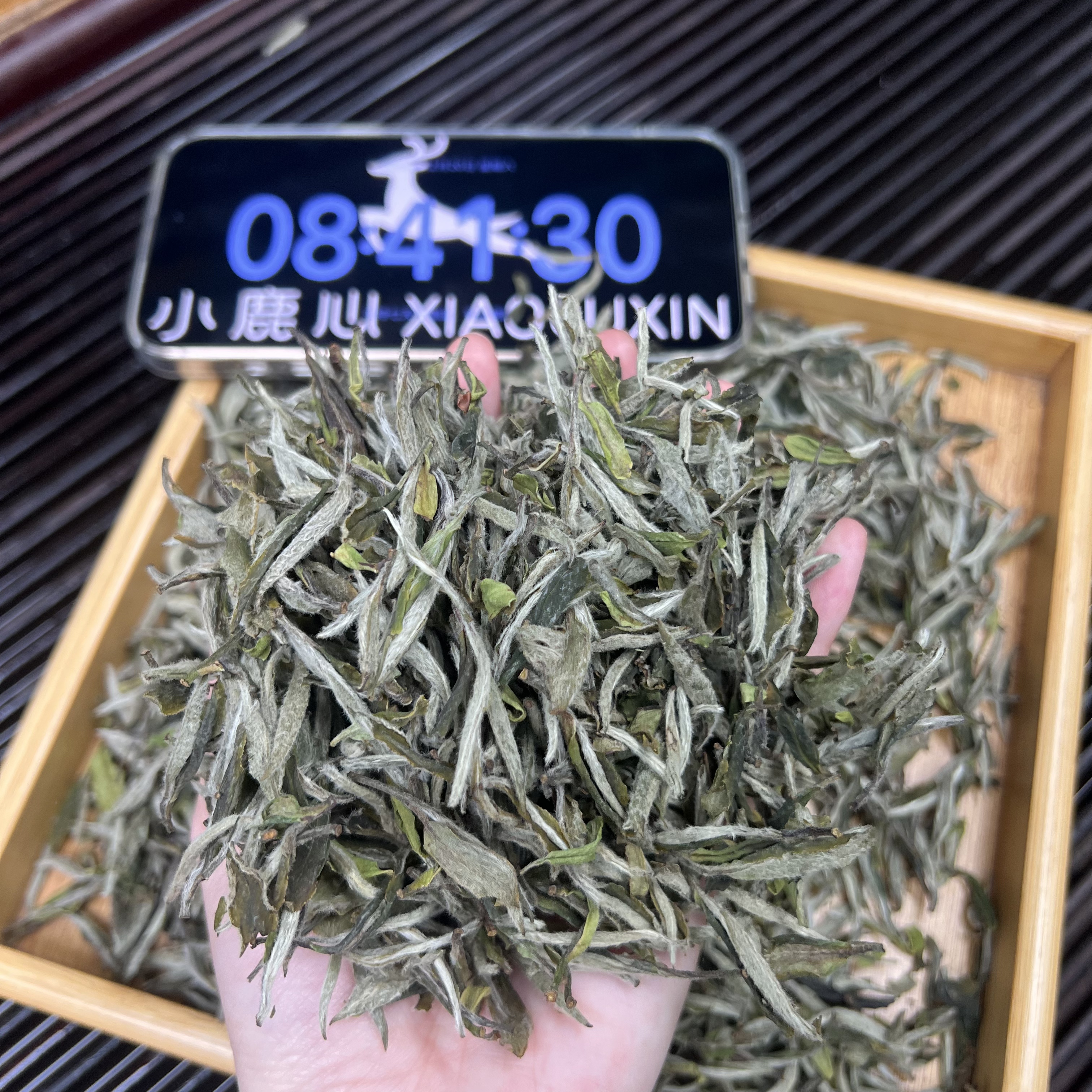 2025牡丹王 ① 小鹿收茶 福鼎白茶 12月20