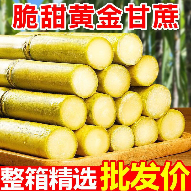 云南新鲜手剥黄金甘蔗现砍现发脆甜多汁当季甘蔗wr