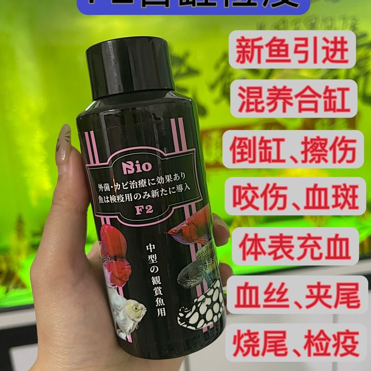 F2合缸检疫体外全效新鱼引进混养合缸咬伤蒙眼预防及治疗外部感染