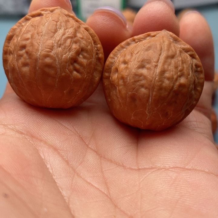 文玩核桃把件精品文玩手捻元宝墎元