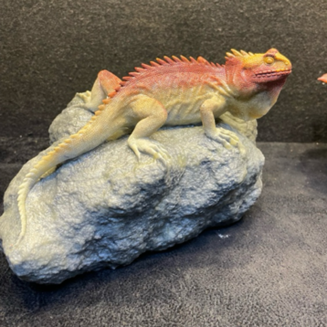 变色龙—作品维妙维肖，色泽丰富