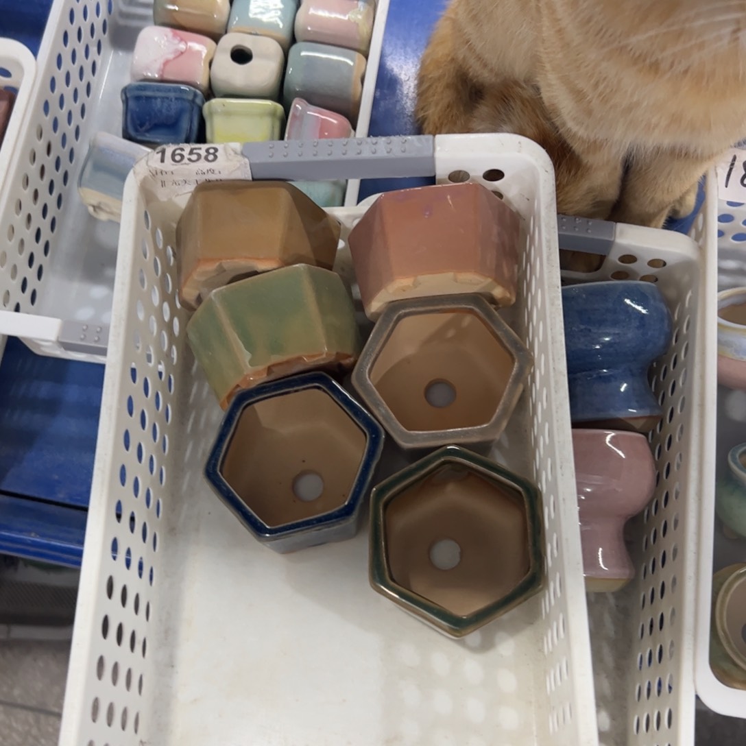 陶瓷欢迎光临@@1658